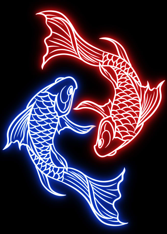 Yin yang koi fish