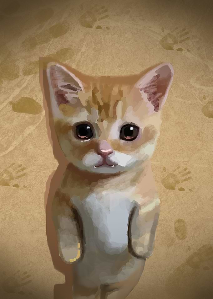 cute standing cat