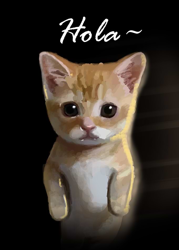hola its cat