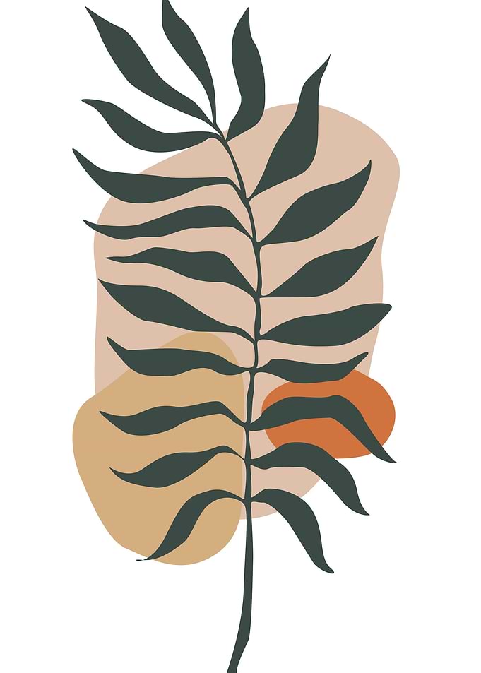 Boho Plant Poster 4