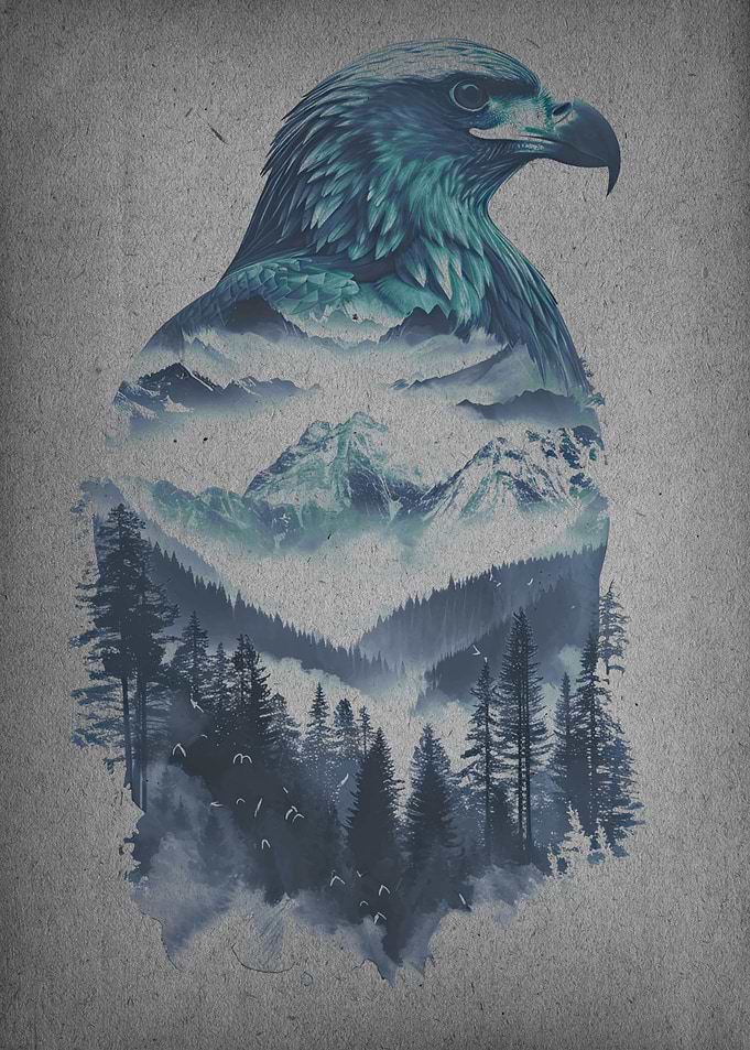 eagle bird animal