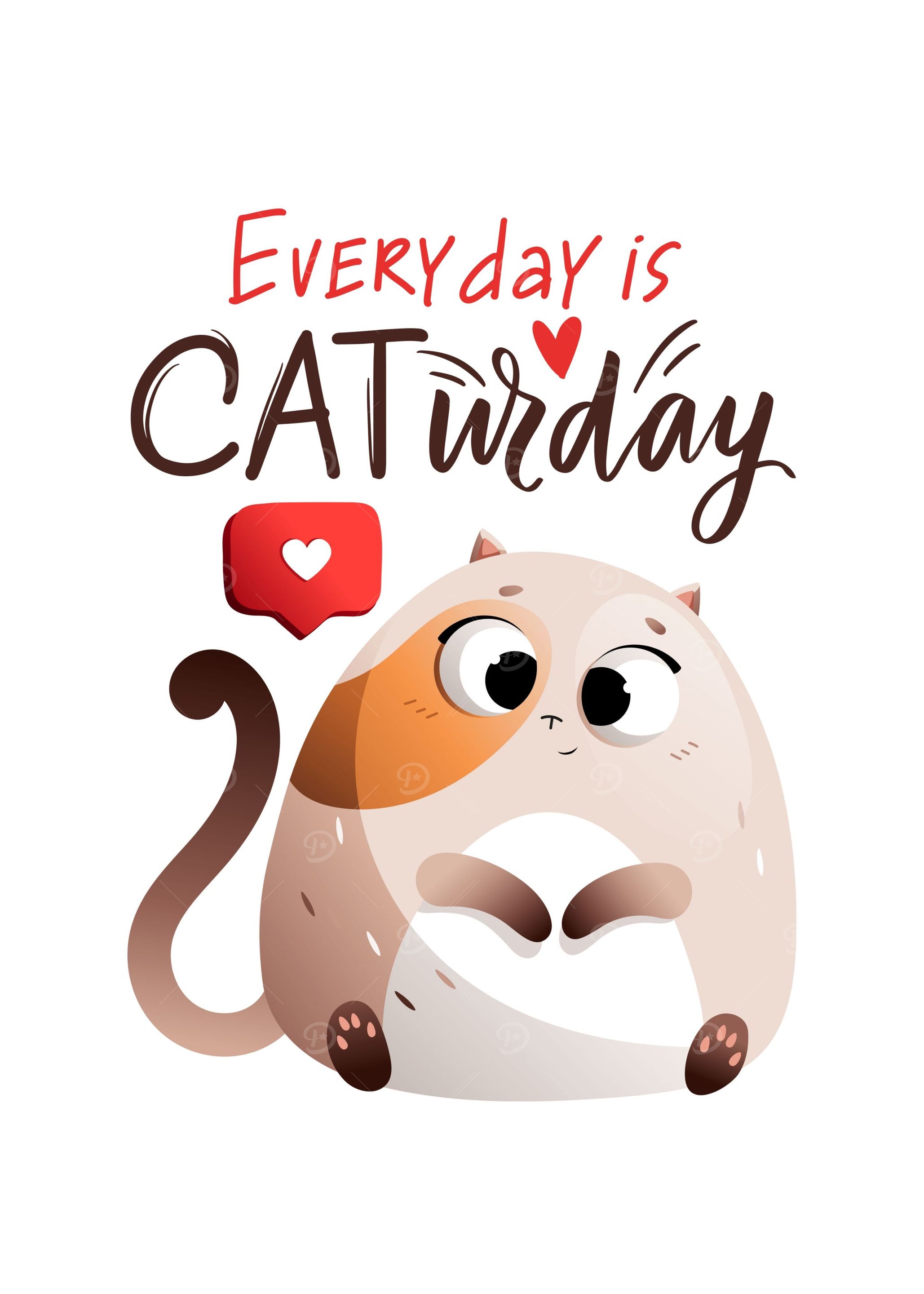 Funny Cat Kitten