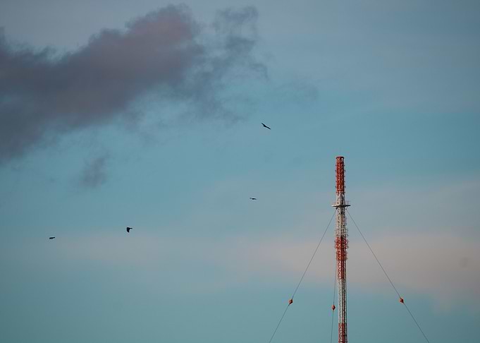 Skyward Signals