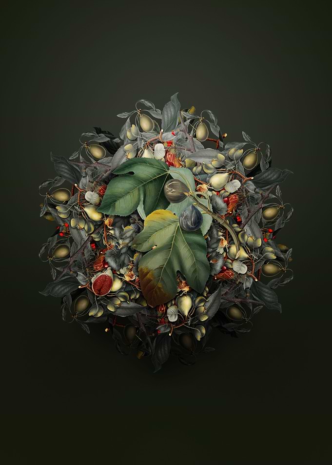 Fig Fruit Wreath