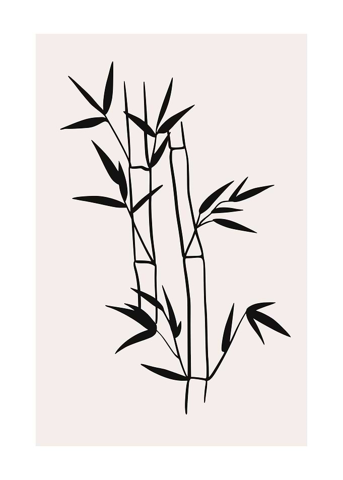 Bamboo