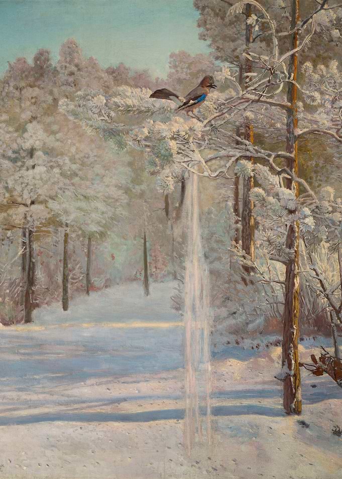 Jay Sojka