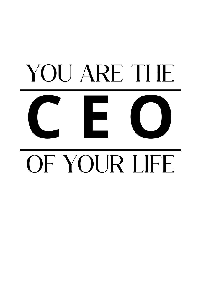 you are the ceo