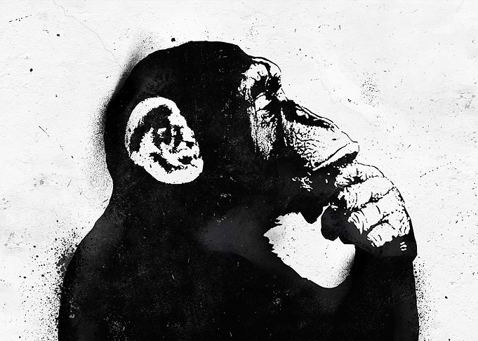 Banksy Monkey Graffiti