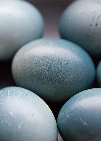 eggs easter