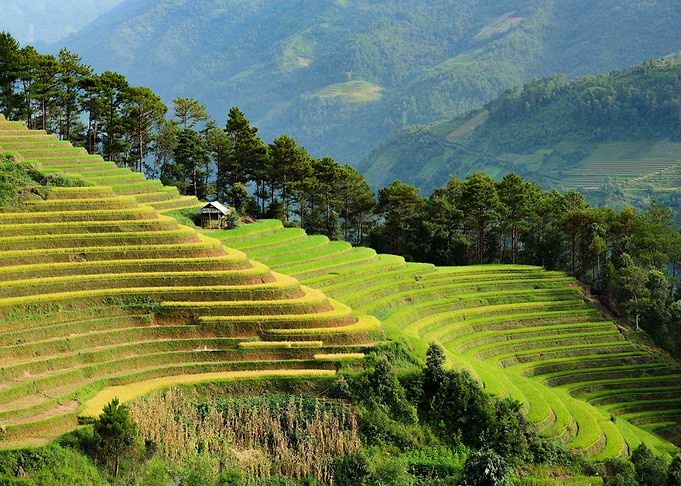 Vietnam Nature terraces