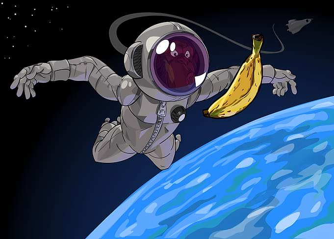monkey space funny