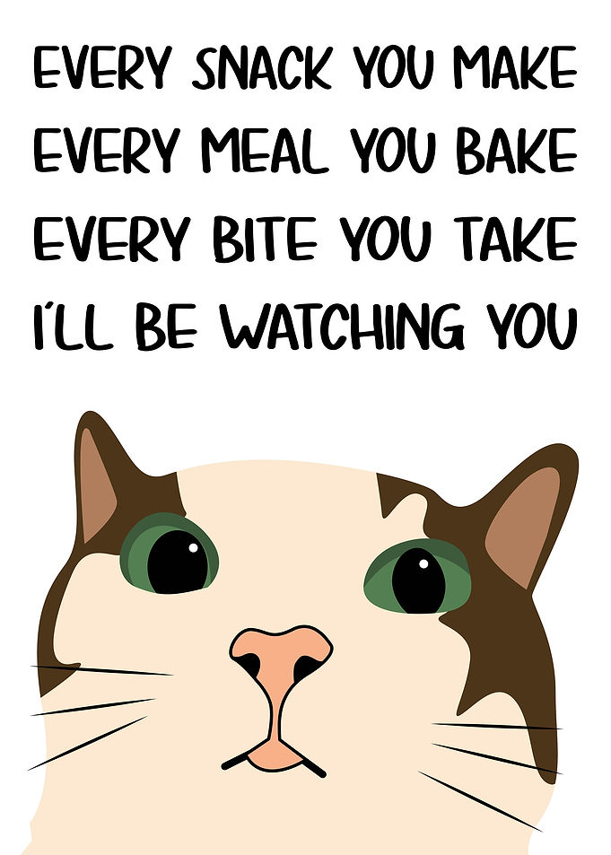 Cat Always Watching Funny