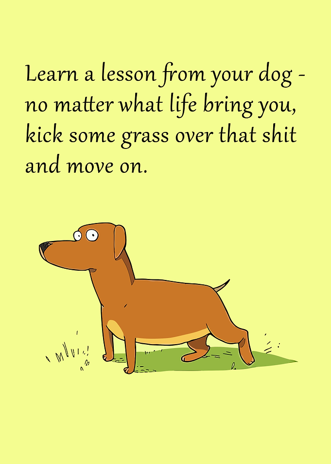 Funny Animals