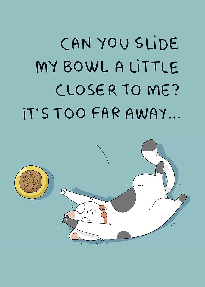 Funny Animals