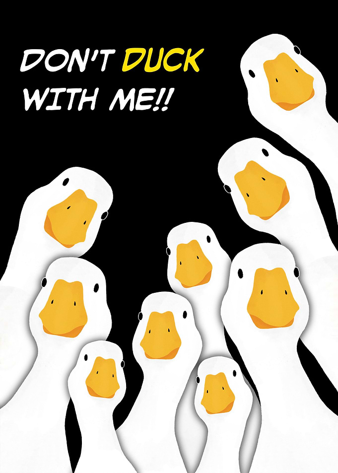 Dont Duck With Me meme