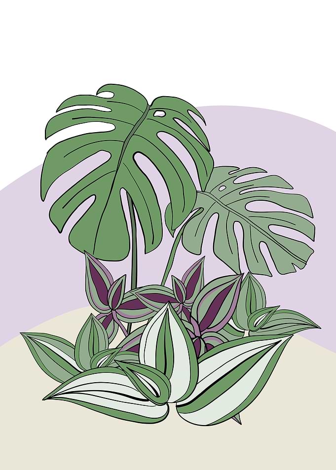 Plants and white flower 1