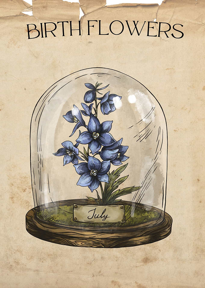 July Larkspur flower