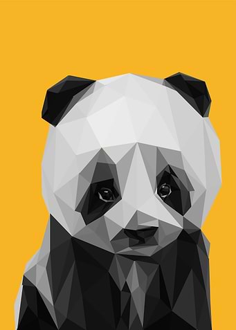 baby panda