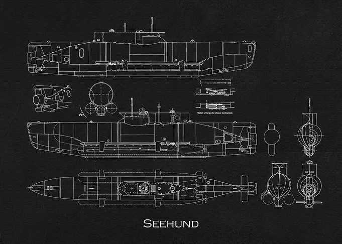 Seehund