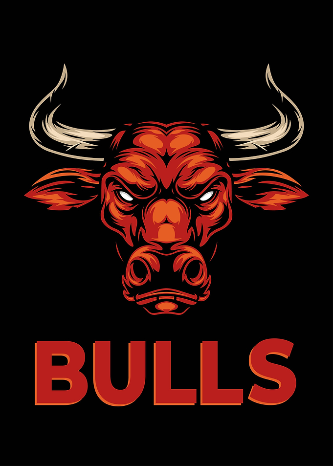 Retro Bulls