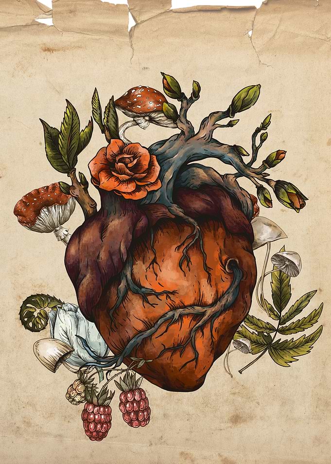 The Heart of Nature forest