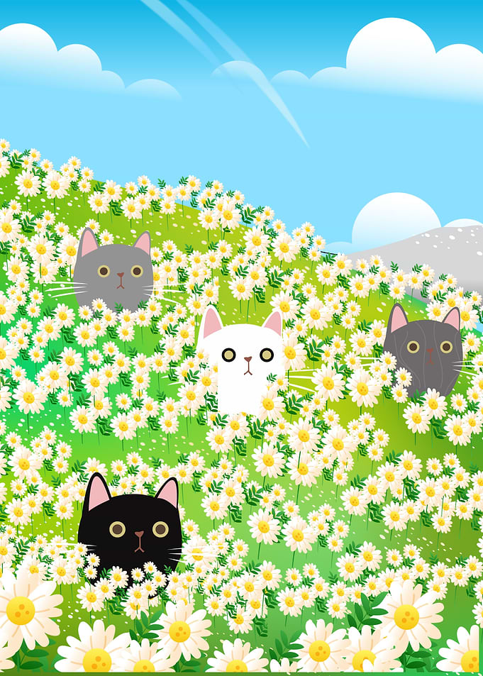 Cats Sunflowers