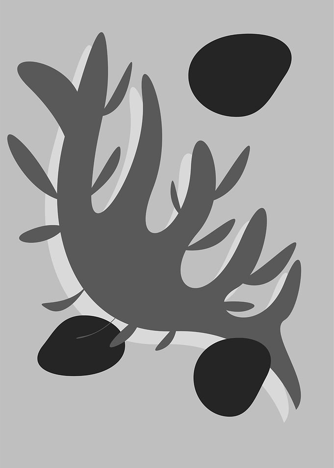 Ornamentals absurd 2