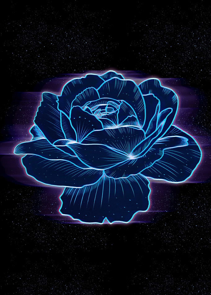 rose flower