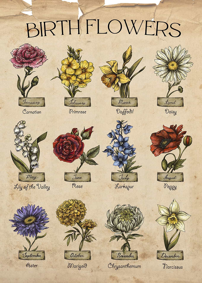 birth month flowers chart