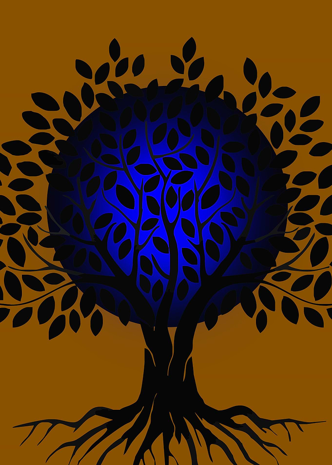 Tree 4
