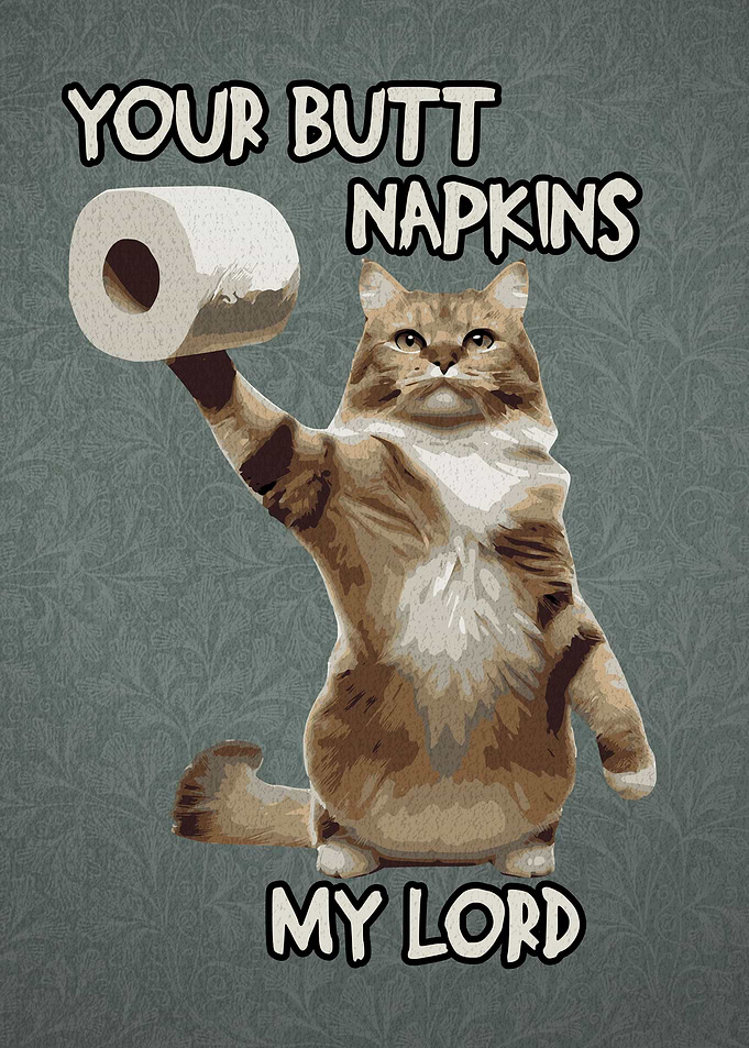 Funny Butt Napkins 3