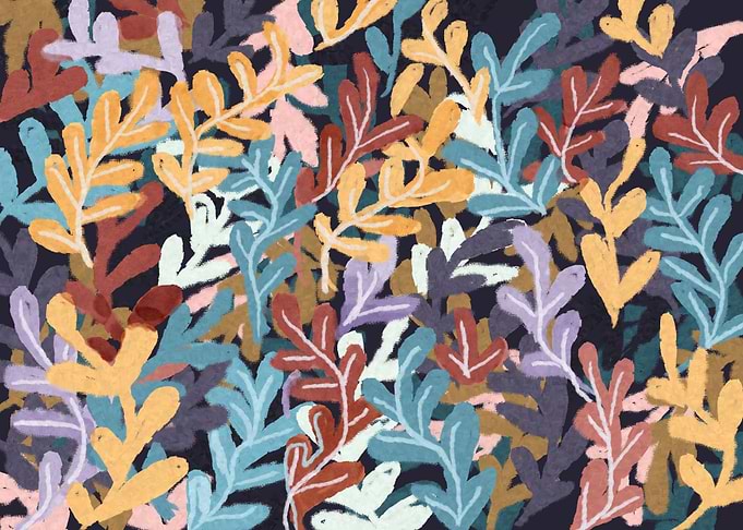 Colorful plants