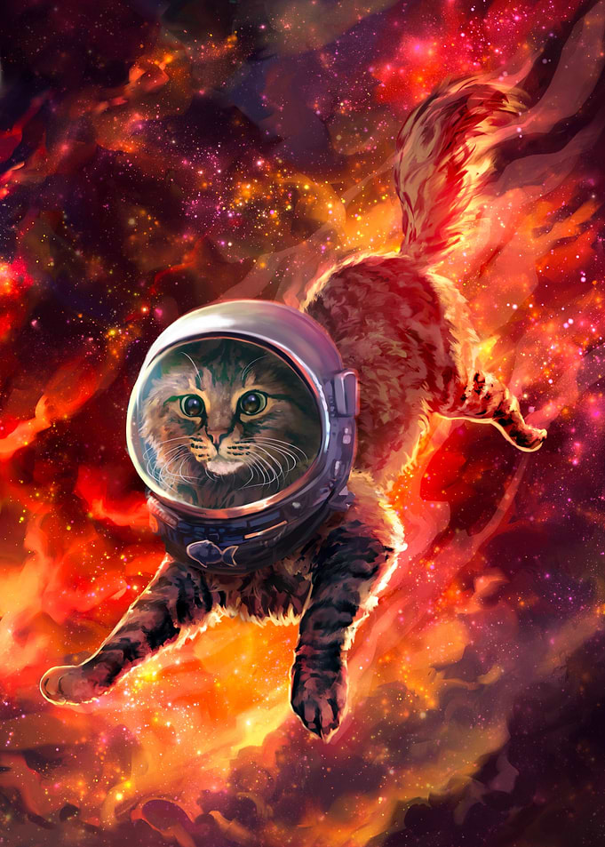 Orange Space Cat