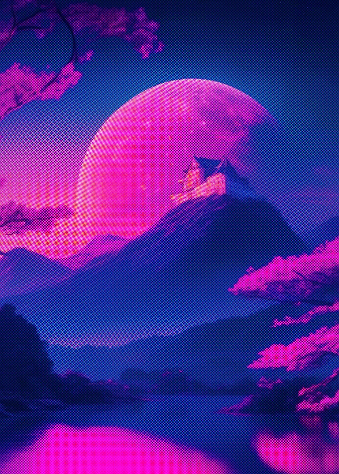 Cherry Blossom view