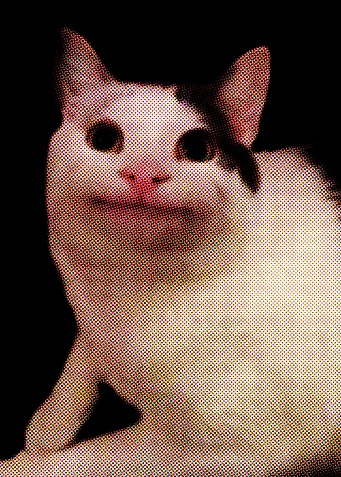 Polite cat meme