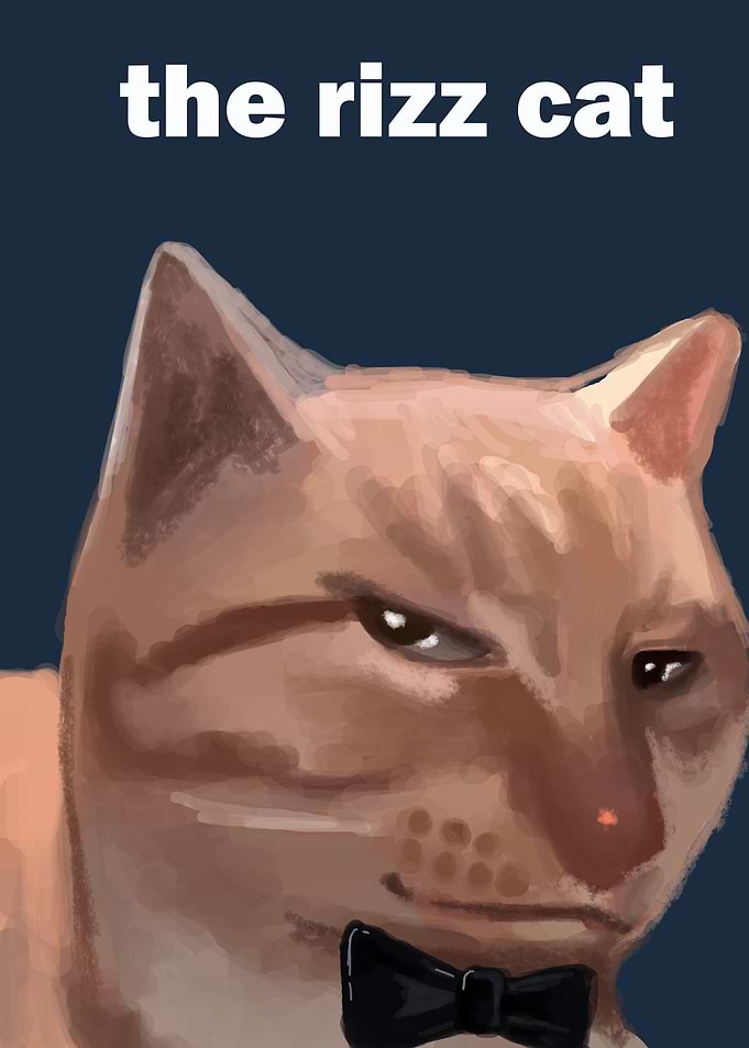 the rizz cat