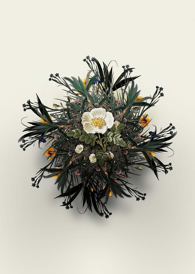 White Burnet Rose Wreath