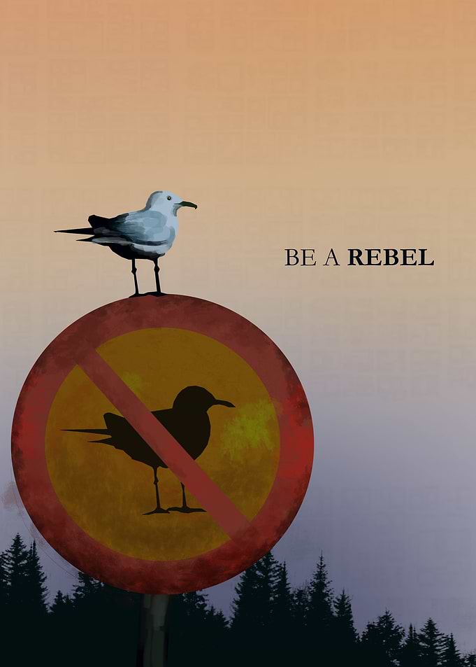 be a rebel bird