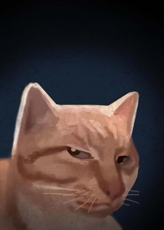 side eye orange cat