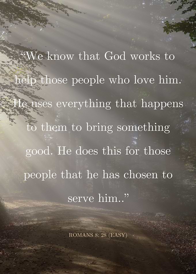 Romans 8 28