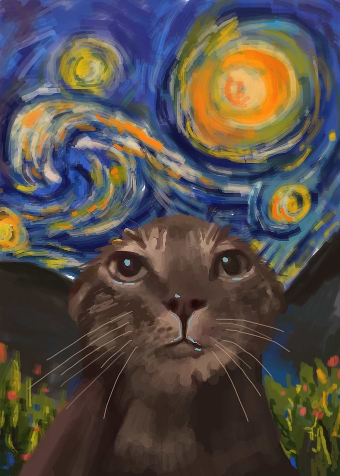 wet cat in starry night
