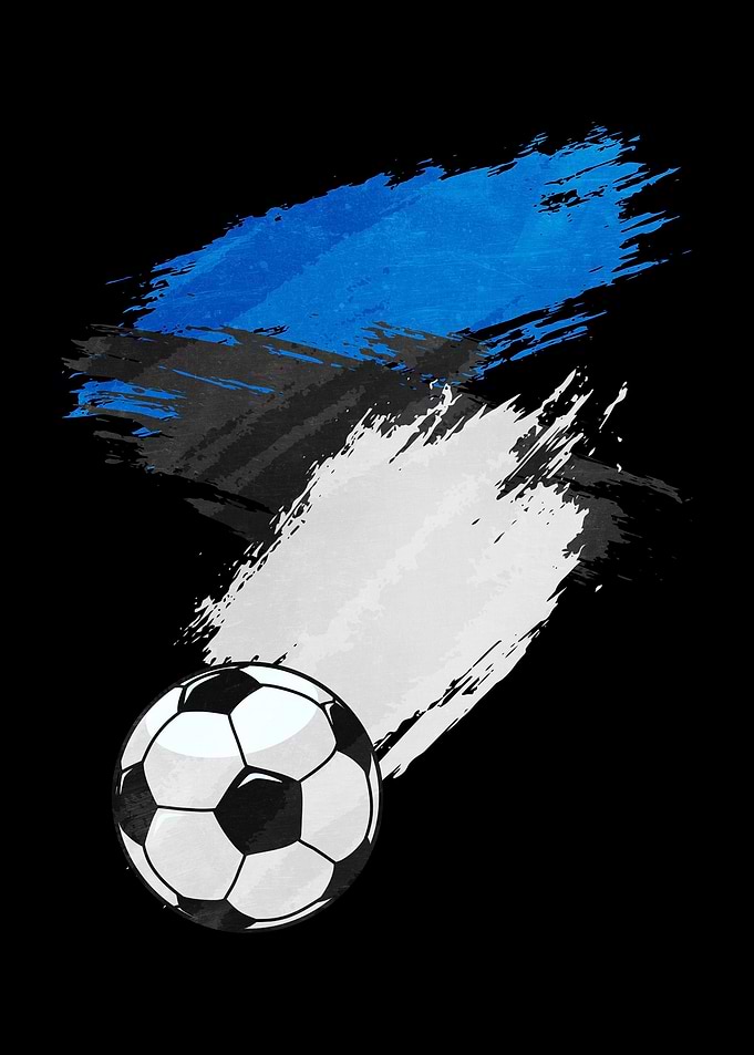 Estonia Flag Soccer