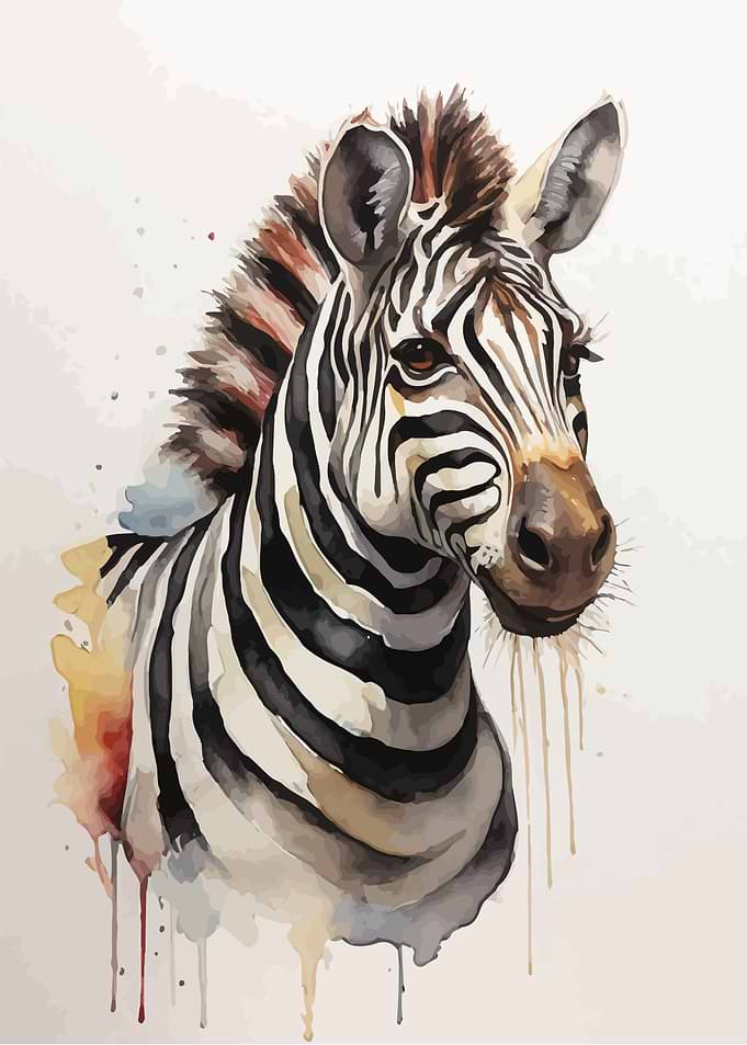 Zebra Watercolor