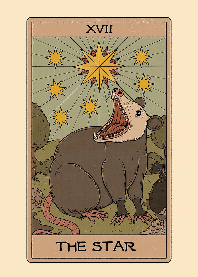 The Star Possum Tarot