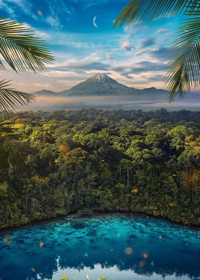 Mountain and Jungle