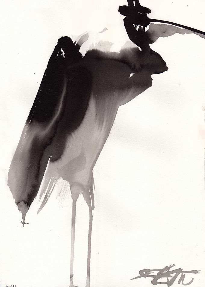 N933 Funny Bird