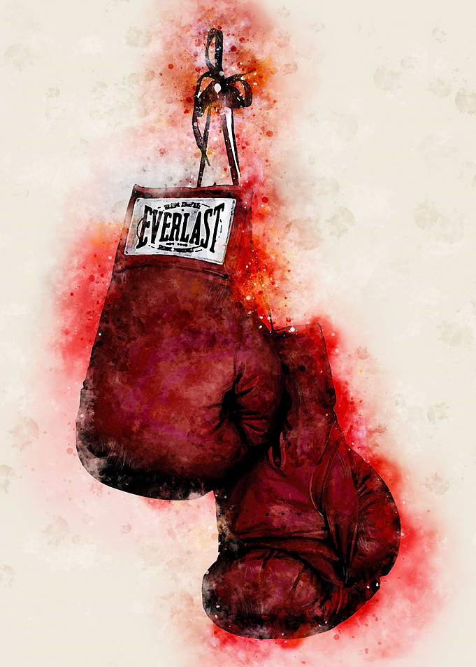 BOXING GLOVES
