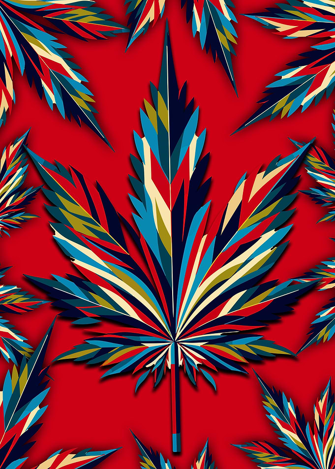 cannabis plant wpap popart