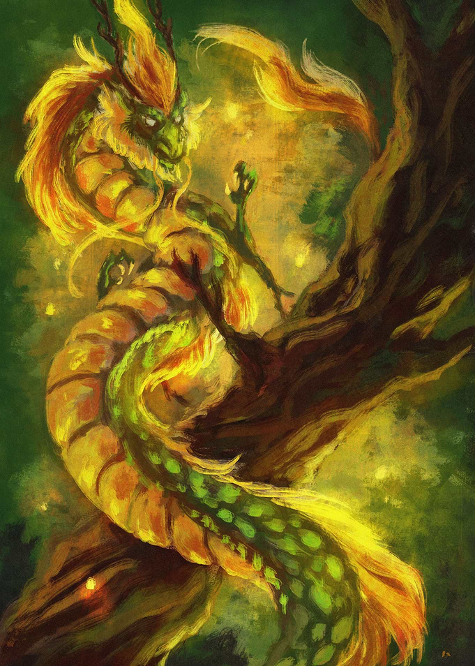 YEAR OF THE WOOD DRAGON