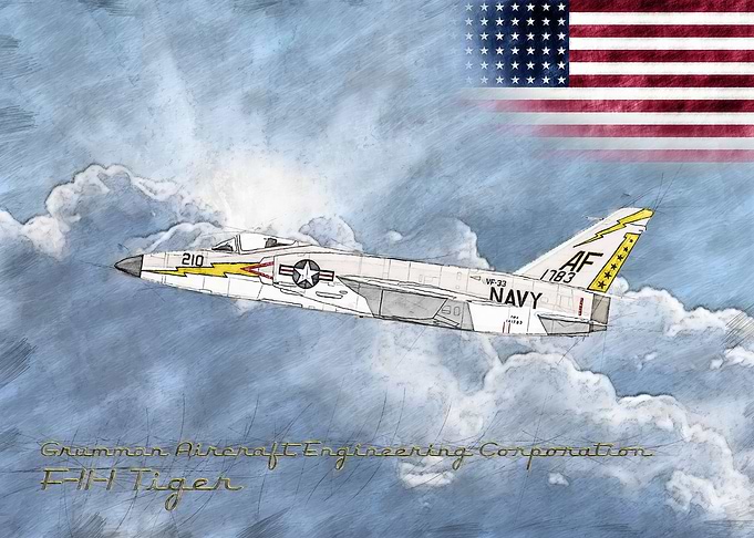 F 11 1 Tiger